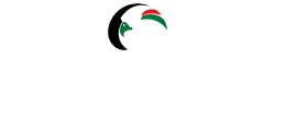 UAE Hosting Logo